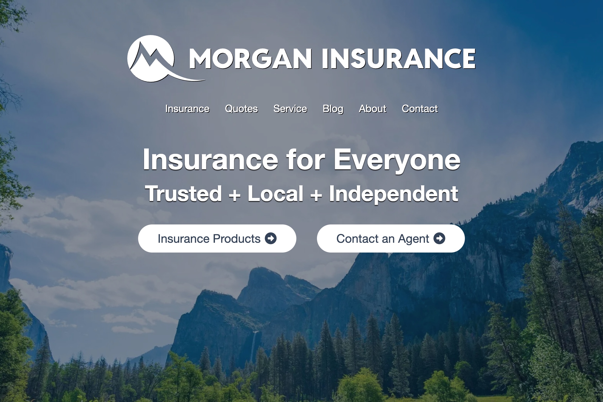 Screentshot of Morgan Insurance website